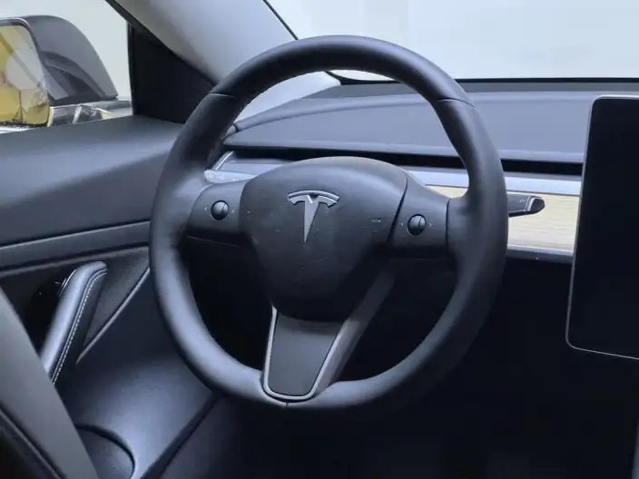 Model 3 2020 Model Standard Battery Life Rear Drive L Class Edition – фото 16