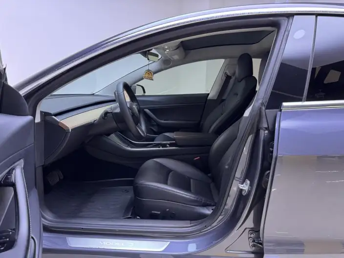 Model 3 2020 Model Standard Battery Life Rear Drive L Class Edition – фото 17