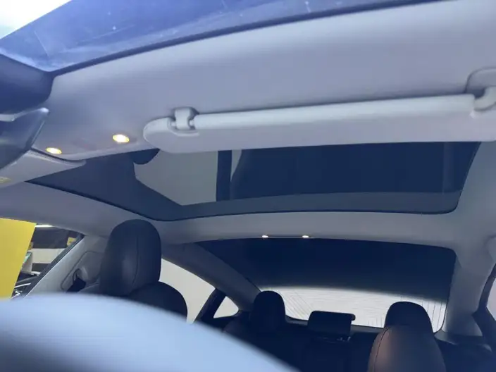 Model 3 2020 Model Standard Battery Life Rear Drive L Class Edition – фото 19