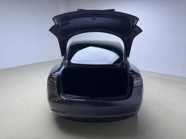 Model 3 2020 Model Standard Battery Life Rear Drive L Class Edition – фото 20