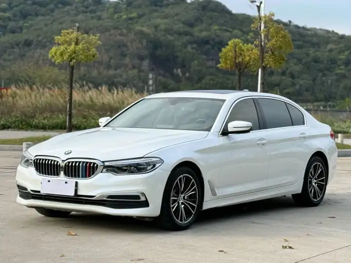 BMW 5 Series 2020 Model 530Li Exclusive Model Luxury Set – фото 1