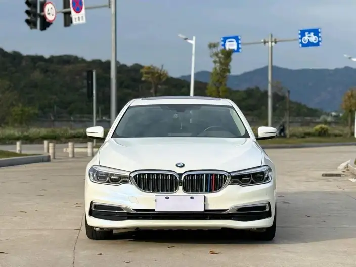 BMW 5 Series 2020 Model 530Li Exclusive Model Luxury Set – фото 2