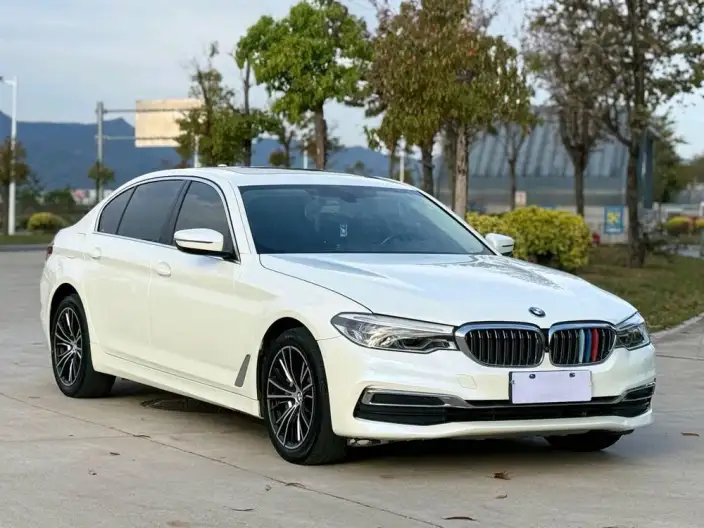 BMW 5 Series 2020 Model 530Li Exclusive Model Luxury Set – фото 3