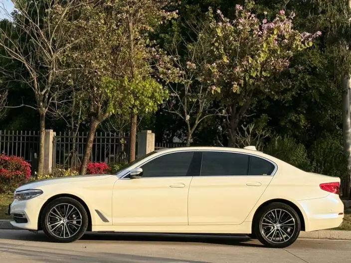 BMW 5 Series 2020 Model 530Li Exclusive Model Luxury Set – фото 4