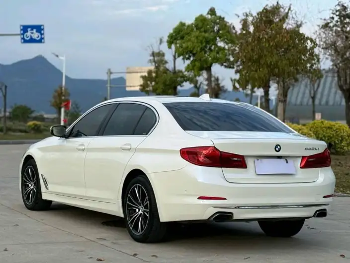 BMW 5 Series 2020 Model 530Li Exclusive Model Luxury Set – фото 5