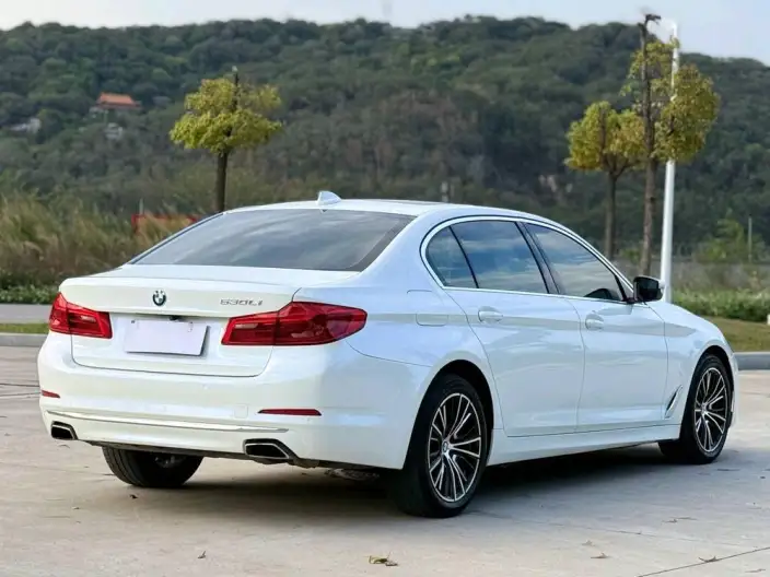 BMW 5 Series 2020 Model 530Li Exclusive Model Luxury Set – фото 7
