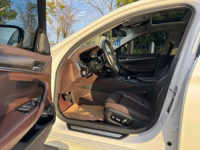 BMW 5 Series 2020 Model 530Li Exclusive Model Luxury Set – фото 18