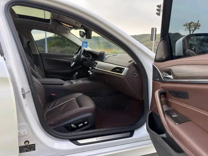 BMW 5 Series 2020 Model 530Li Exclusive Model Luxury Set – фото 22