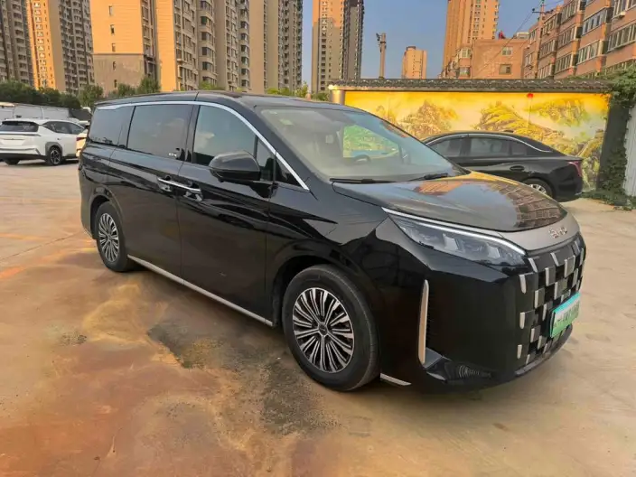 BYD M9 2025 Model 1060 Pilot Edition Pro – фото 3