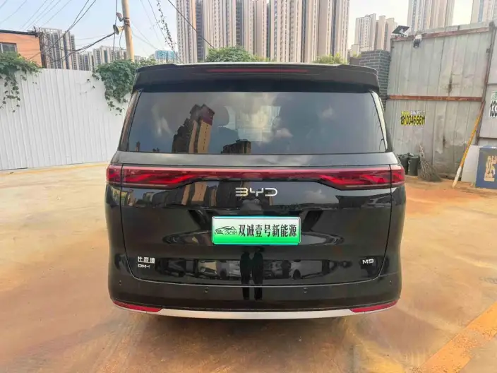 BYD M9 2025 Model 1060 Pilot Edition Pro – фото 5