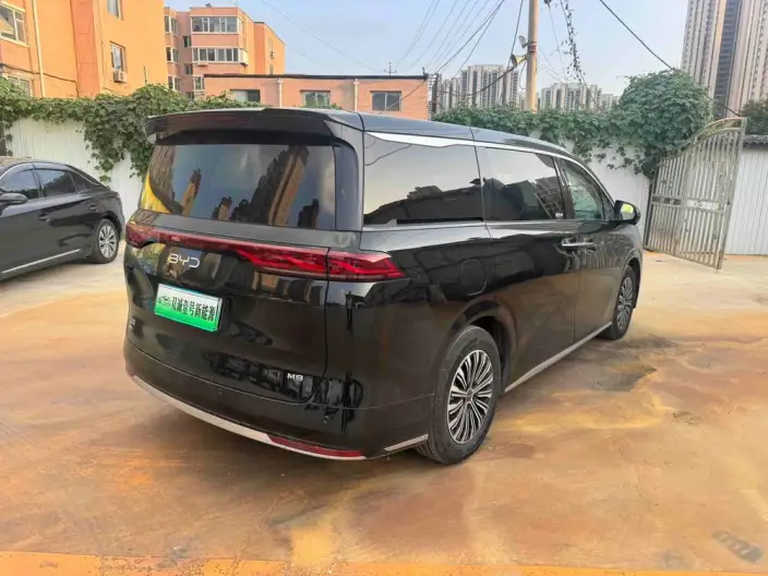 BYD M9 2025 Model 1060 Pilot Edition Pro – фото 6