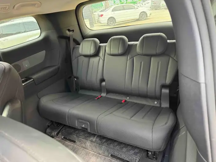 BYD M9 2025 Model 1060 Pilot Edition Pro – фото 9