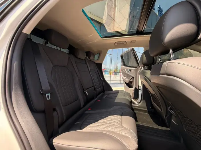Hongqi HS5 2023 Model 2.0T Flag Xiang Pro Edition – фото 17