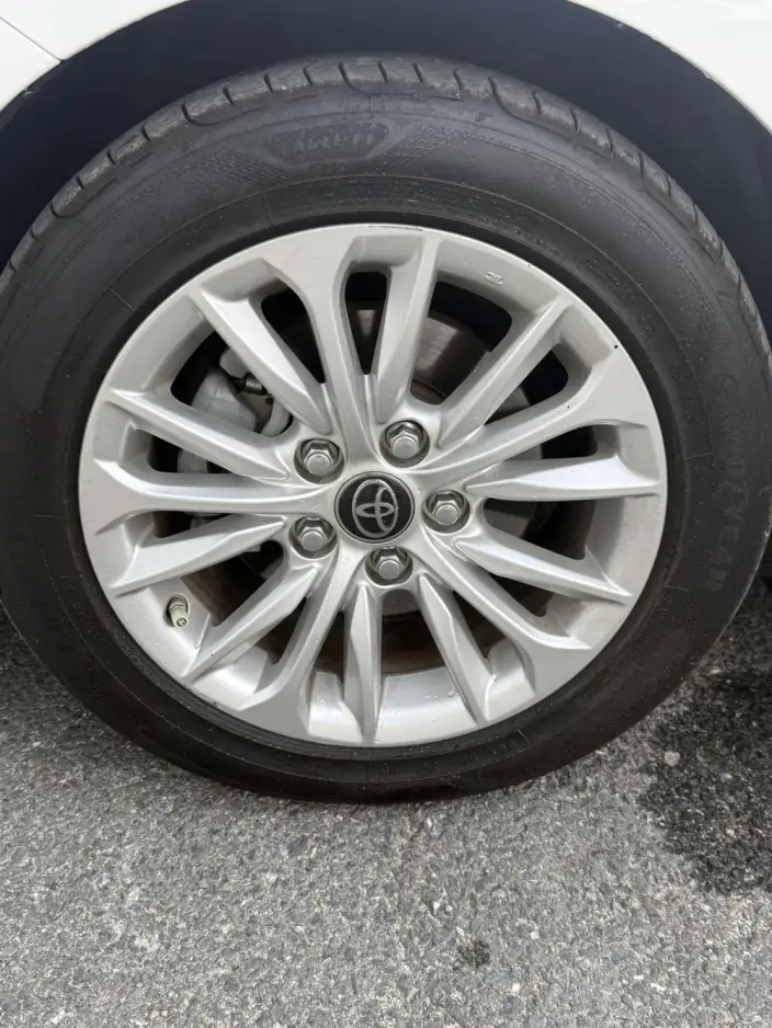 Asia Lion 2021 Model 2.0L Deluxe Edition – фото 6