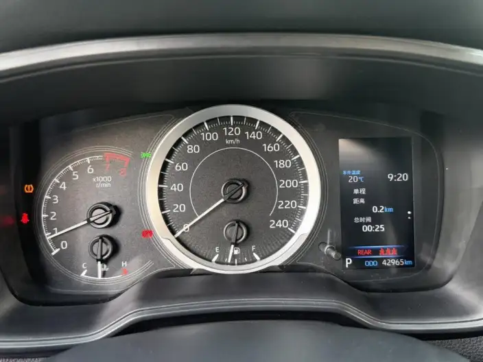 Asia Lion 2021 Model 2.0L Deluxe Edition – фото 8