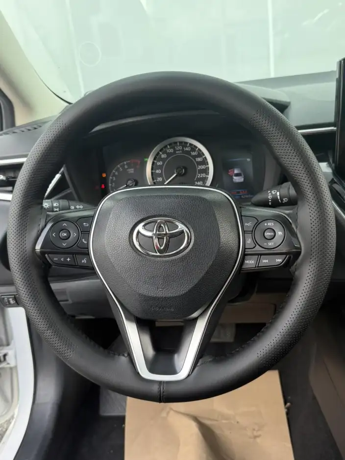 Asia Lion 2021 Model 2.0L Deluxe Edition – фото 9
