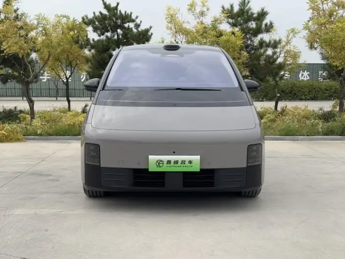 Li Auto MEGA 2025 Model Home Family Special Edition – фото 2
