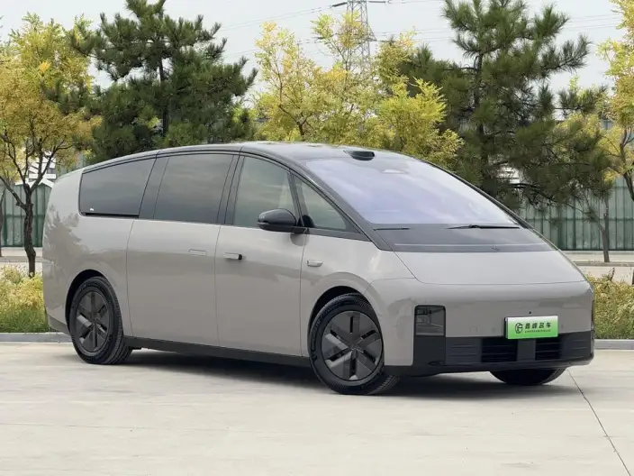 Li Auto MEGA 2025 Model Home Family Special Edition – фото 3