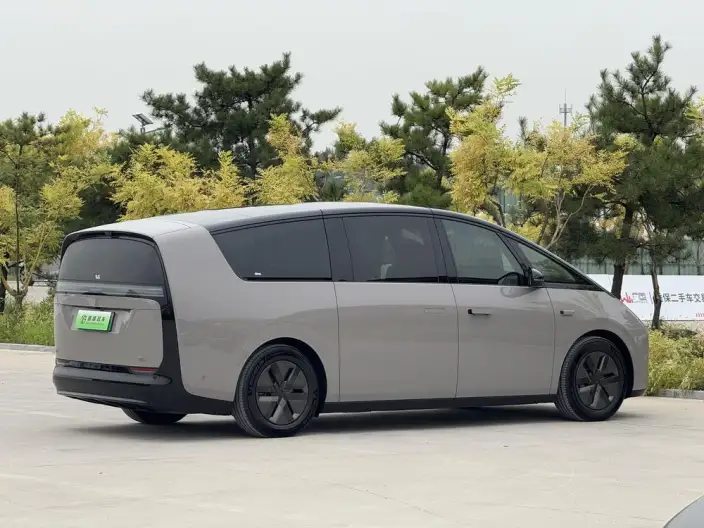 Li Auto MEGA 2025 Model Home Family Special Edition – фото 6