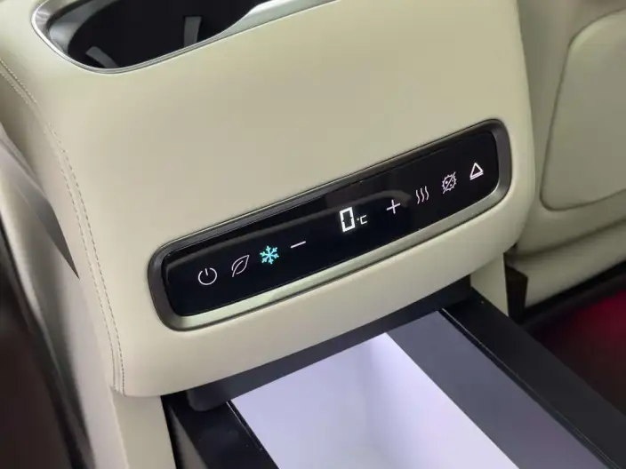 DENZA D9 DM 2025 Model Smart Driving Edition 1020 4WD Flagship Model – фото 9