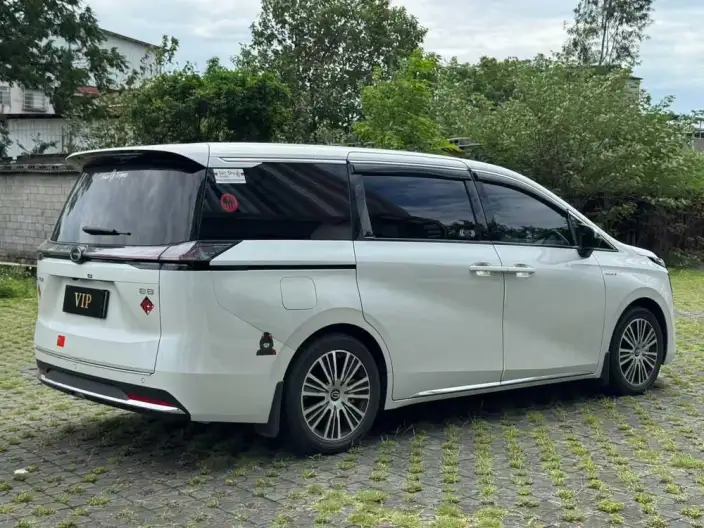 GAC Trumpchi E8 PHEV 2024 Model 2.0ATK 150km MAX+ – фото 6