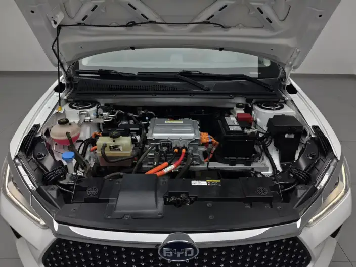 BYD E2 2021 Model Noble Model – фото 10