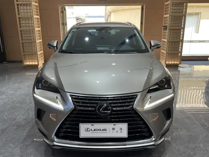 Lexus NX 2020 Model 200 Quan Drive Fengshang Edition China V – фото 2