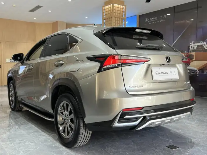 Lexus NX 2020 Model 200 Quan Drive Fengshang Edition China V – фото 4