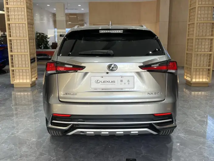 Lexus NX 2020 Model 200 Quan Drive Fengshang Edition China V – фото 5