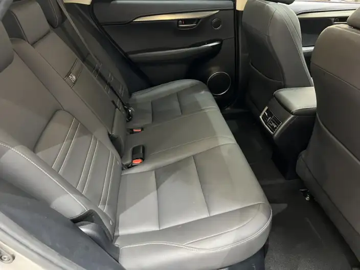 Lexus NX 2020 Model 200 Quan Drive Fengshang Edition China V – фото 8