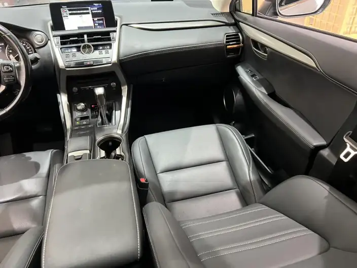 Lexus NX 2020 Model 200 Quan Drive Fengshang Edition China V – фото 10
