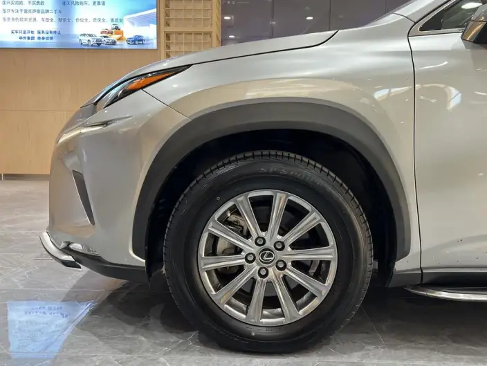 Lexus NX 2020 Model 200 Quan Drive Fengshang Edition China V – фото 11