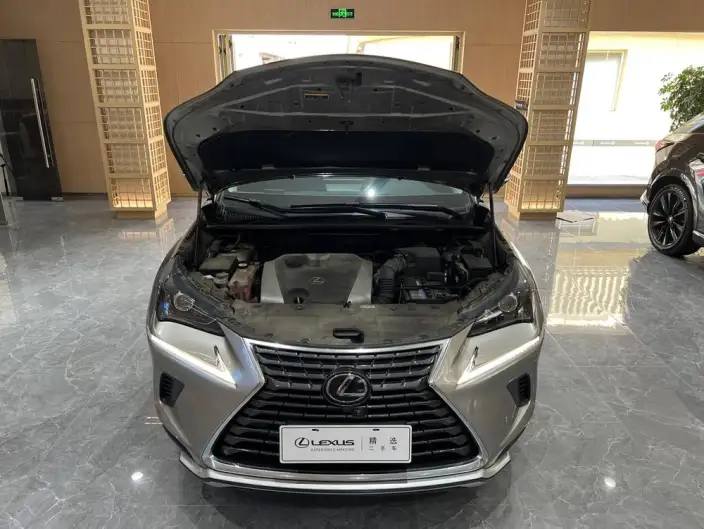 Lexus NX 2020 Model 200 Quan Drive Fengshang Edition China V – фото 12