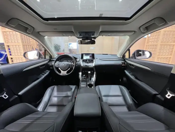 Lexus NX 2020 Model 200 Quan Drive Fengshang Edition China V – фото 13