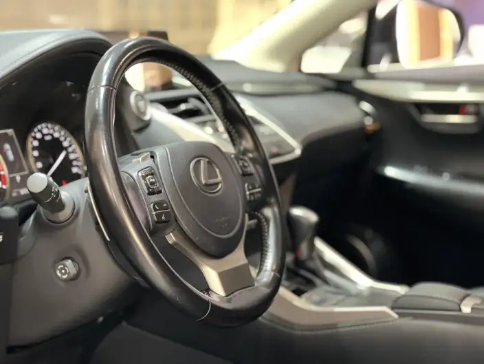 Lexus NX 2020 Model 200 Quan Drive Fengshang Edition China V – фото 14