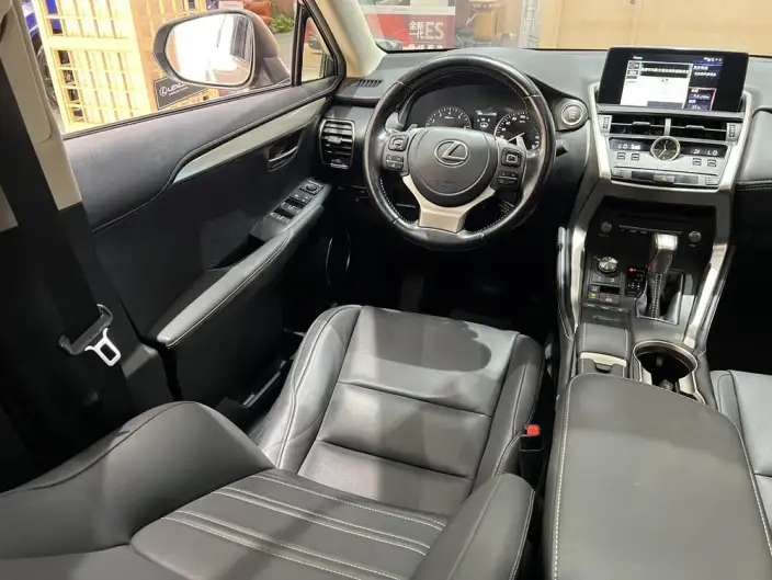 Lexus NX 2020 Model 200 Quan Drive Fengshang Edition China V – фото 16