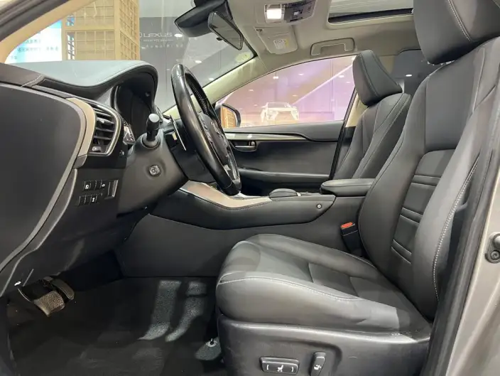 Lexus NX 2020 Model 200 Quan Drive Fengshang Edition China V – фото 17