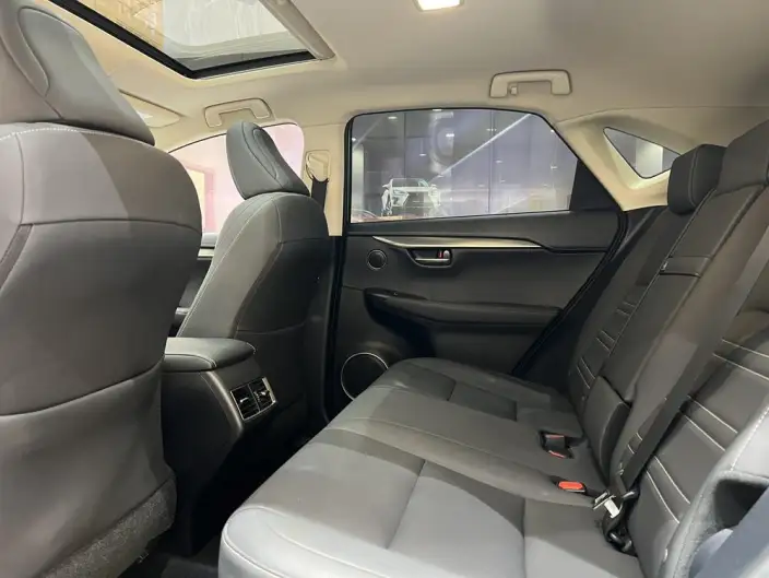 Lexus NX 2020 Model 200 Quan Drive Fengshang Edition China V – фото 18