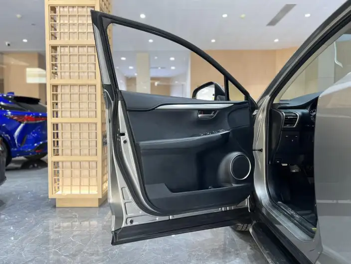 Lexus NX 2020 Model 200 Quan Drive Fengshang Edition China V – фото 19