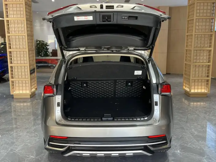 Lexus NX 2020 Model 200 Quan Drive Fengshang Edition China V – фото 20
