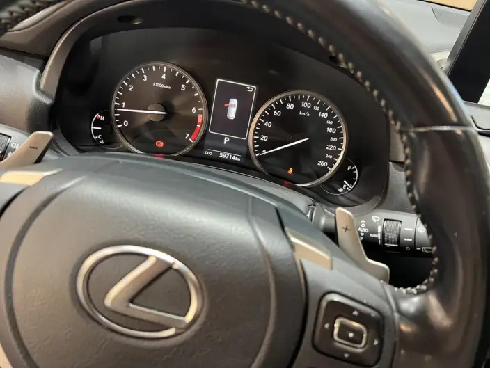 Lexus NX 2020 Model 200 Quan Drive Fengshang Edition China V – фото 21