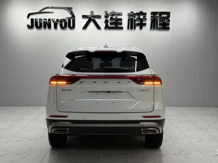 Haval H6 2021 Model Guo Trendy Edition 1.5T Automatic Champion Edition – фото 6