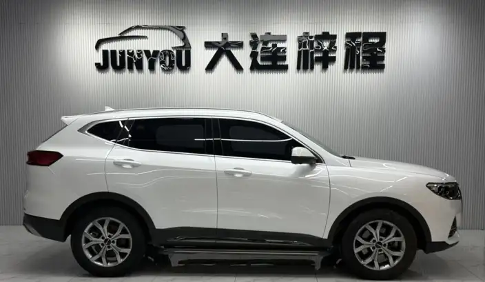 Haval H6 2021 Model Guo Trendy Edition 1.5T Automatic Champion Edition – фото 8
