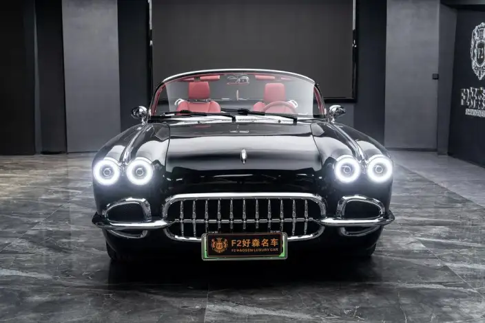 SS DOLPHIN 2020 Model 1.5T Plug-in hybrid Standard Model – фото 2