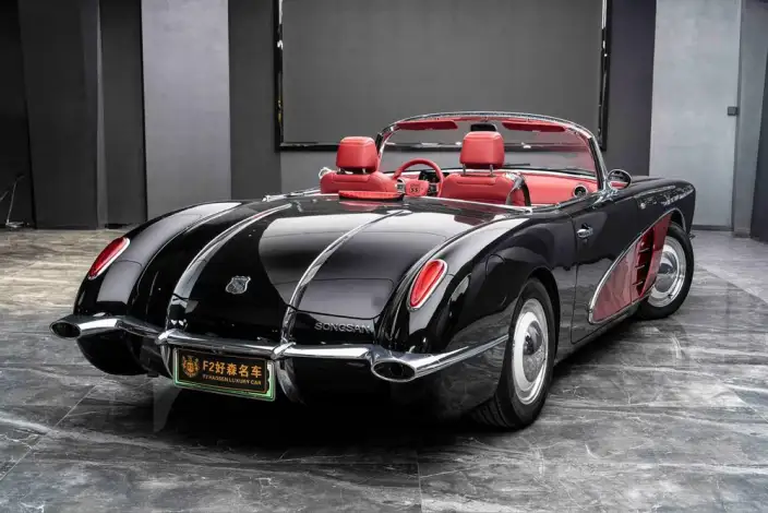 SS DOLPHIN 2020 Model 1.5T Plug-in hybrid Standard Model – фото 9