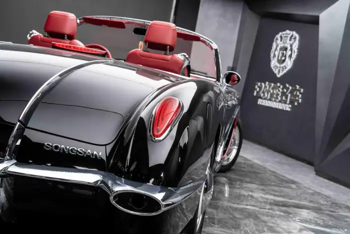 SS DOLPHIN 2020 Model 1.5T Plug-in hybrid Standard Model – фото 10