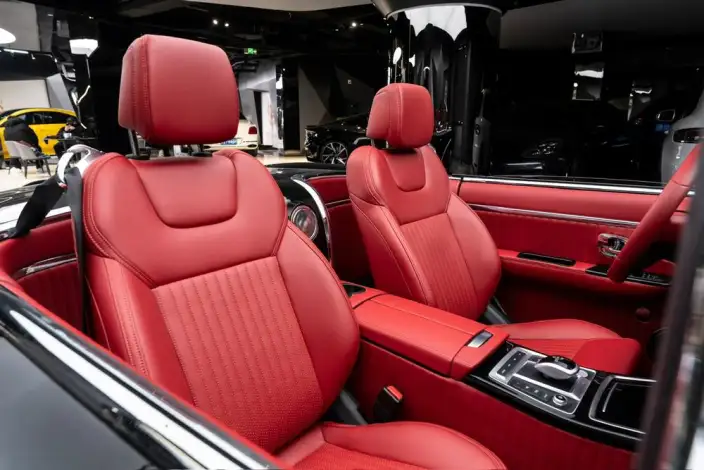 SS DOLPHIN 2020 Model 1.5T Plug-in hybrid Standard Model – фото 17