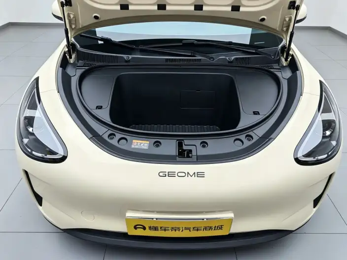 Geely Galaxy StarWish 2026 Model 310km Youth Edition – фото 10