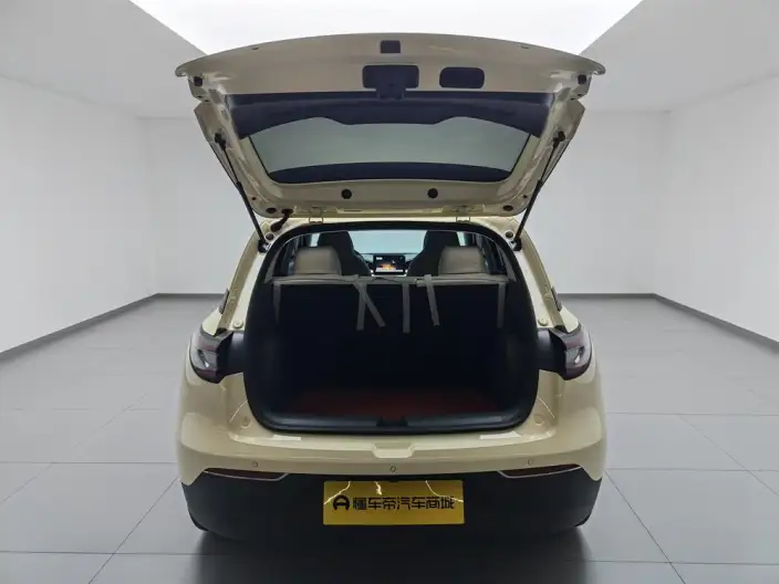 Geely Galaxy StarWish 2026 Model 310km Youth Edition – фото 20