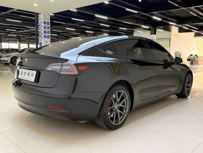 Model 3 2021 Model Standard Battery Life Rear Drive L Class Edition 3D1 – фото 7